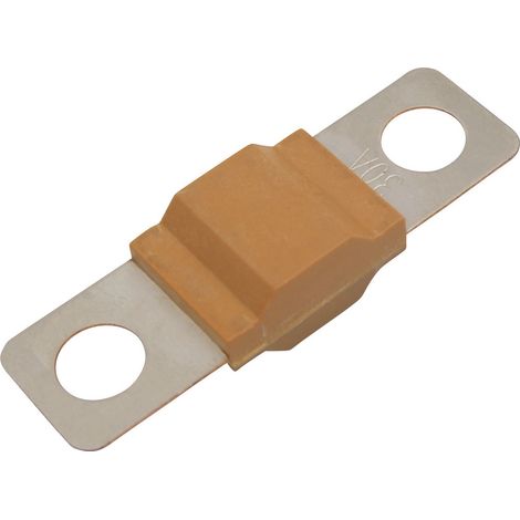 TRU COMPONENTS TC-13545872  Sicherung  30 A 80 V/DC  Inhalt 10 St. Bulk