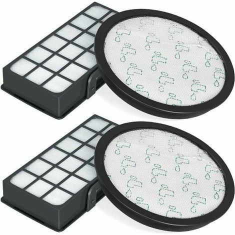 Set de 2 filtres HEPA pour aspirateurs Rowenta Silence Force Cyclonic RO76xx - Modèle ZR903701.