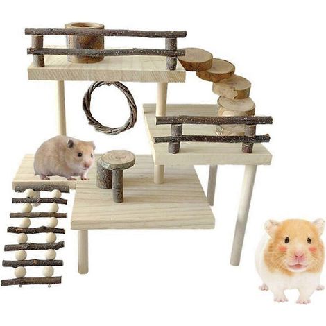 Jouet à mâcher pour hamsters, cochons d'Inde et gerbilles - Aire de jeux et d'escalade (1/4)