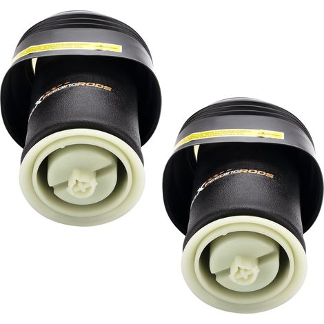 2X Arrière Suspension Air Amortisseur for BMW X 5 E70 X 6 E71 E72 37126790079 (1/5)