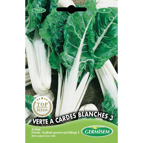 graines Poirée VERTE A CARDES BLANCHES 3