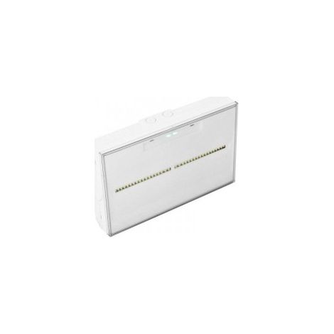 Zemper LTS-3050-EX BAES Emergency Light, Toledo SATI Evacuation Model, 45 lm, 1 hour, IP44/IK07
