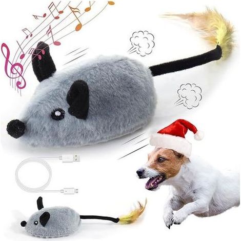 Kaelt - Jouet interactif pour chien, fausse souris animée avec capteur automatique, jouet pour chien avec son réaliste et queue extensible, jouet automatique pour chats et chiens, jouet couineur pour (1/5)