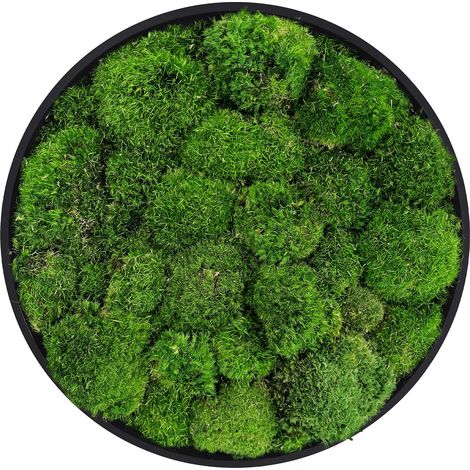 ECD Germany Moosbild Rund Ø 40 cm, Mooswand Indoor mit echtem Kugelmoos, Wanddeko mit Holzrahmen, Wandbild 3D-Effekt, Natürliche Optik, Pflegefrei, Einfaches Aufhängen, Moos Deko für Haus und Büro (1/5)