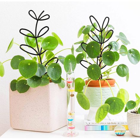 Petit treillis pour plantes en pot, treillis de jardin en fer forgé en forme de feuille pour plantes grimpantes décoratives d'intérieur et d'extérieur, support pour plantes grimpantes et rosiers (1/4)