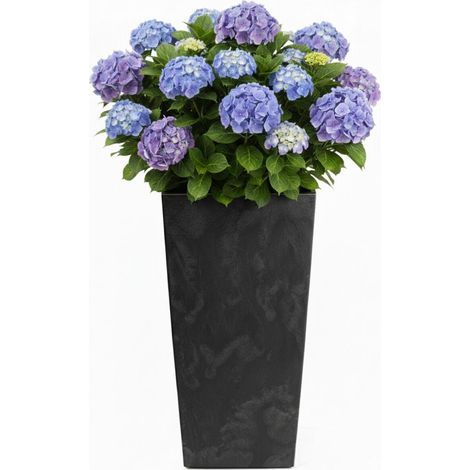 Porto Blumentopf aus schwarzem Beton, H 75 x 39,6 x 39,6 cm