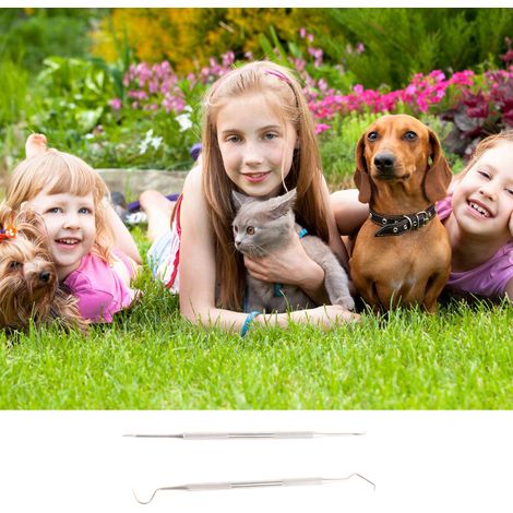 Détartreur et grattoir dentaire pour chiens, outil de nettoyage des dents pour animaux de compagnie avec différents angles et double tête en acier inoxydable. (1/5)