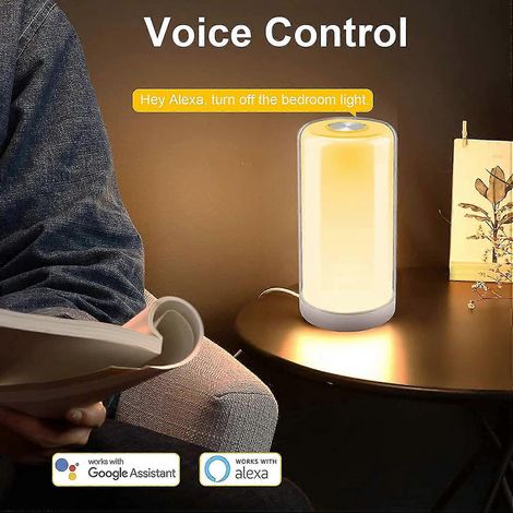 LED-Nachttischlampe, dimmbare Touch-Tischlampe mit RGB-Farbwechsel, kompatibel (1/4)