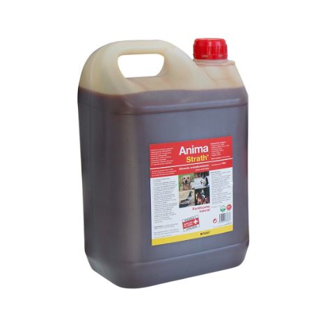 Stangest Anima Strath 5L