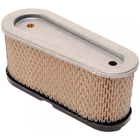 Filtre a air moteur Tecumseh 36356 (1/3)