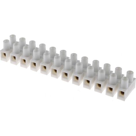 Bornier de raccordement RS PRO, 12 pôles , 10mm, A visser, 4mm², 3A ( Prix pour Paquet de 5 ) (1/4)