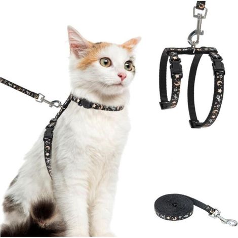 Pettorina per gatti con guinzaglio – Pettorina antifuga regolabile che si illumina al buio per le passeggiate all'aperto (1/4)