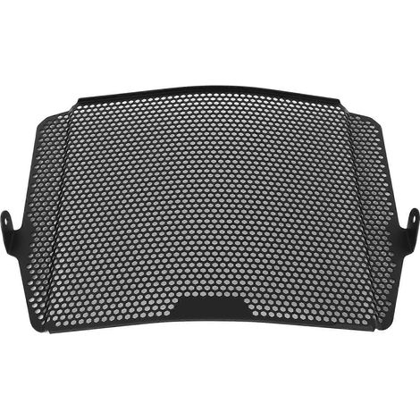 Grille de protection de radiateur, accessoire de remplacement pour moto 765RS Triple SR 2020+ (1/5)