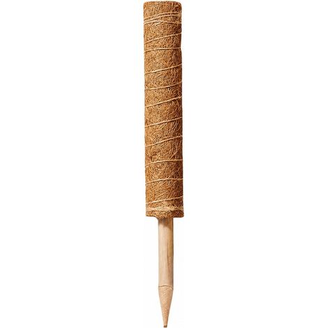 Tuteur en fibre de coco, 50 cm, pour plantes grimpantes, bâtonnet en mousse verte, treillis de jardin (1/2)