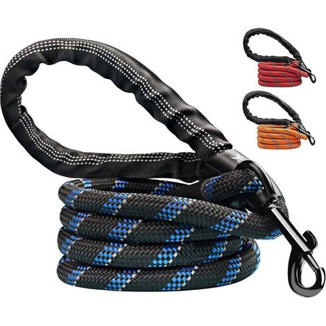 Laisse pour chien 152 cm – Corde nylon d'escalade antidérapante – Poignée souple EVA-Tech – Clips 360° – Réfléchissante pour jogging et randonnée (1/5)