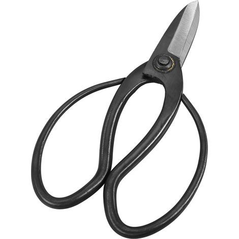 Ciseaux robustes et durables en acier inoxydable pour plantes en pot et outils de jardinage (1/5)