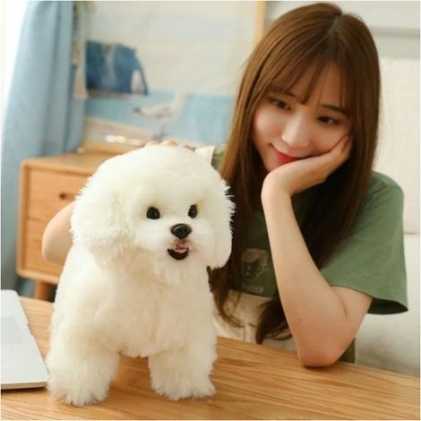 Peluche Bichon Frisé de haute qualité (38x28x16cm), jouet pour chien en peluche de style coréen, Poméranien. (1/3)