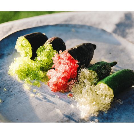 Vivaio Garden Forest – Plante de citron caviar (finger lime) – Agrume épineux d'Australie – Fruits cylindriques à saveur unique – Couleur : orange
