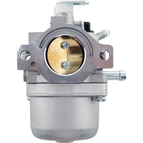 Vergaser mit Dichtung für Briggs & Stratton Rasentraktoren (11-11, 5-12-12, 5-13-13,5 PS). Ersetzt die Teilenummern 799728, 498027, 495706, 494502, 494392 und 498134. (1/5)
