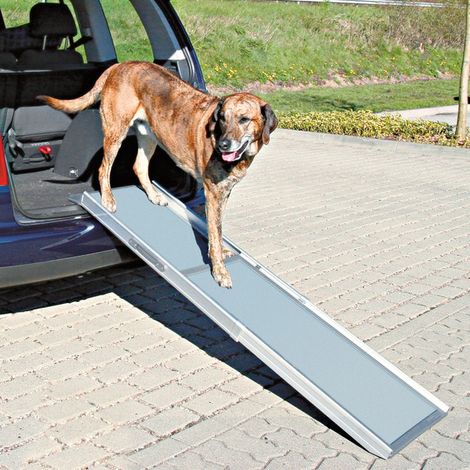 Trixie Petwalk teleskopische Rampe grau 100-180 cm