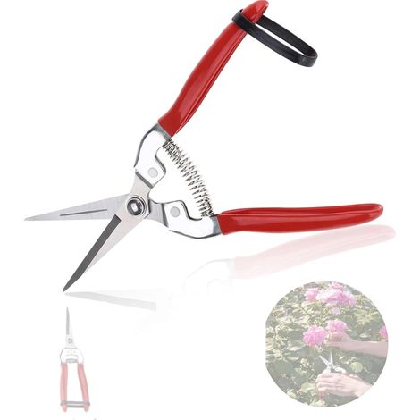 Ciseaux de jardin, Bonsaïs d'arbres fruitiers Jardinage Élagage Cisailles Sécateur Outil de printemps pour jardin(Tout droit) sécateur pour couper fleurs sécateur pour couper fleurs+épinette (1/5)