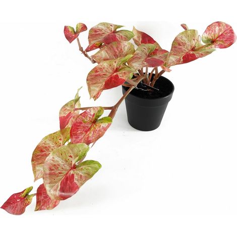 35cm Artificial Trailing Hanging Plant Realistic Pink Splash Caladium (1/4)