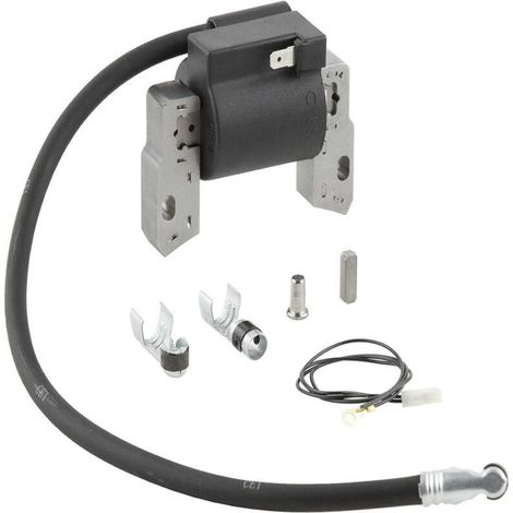 Bobina di accensione ad alta tensione compatibile con 591420 395489 398593 397316 (1/3)