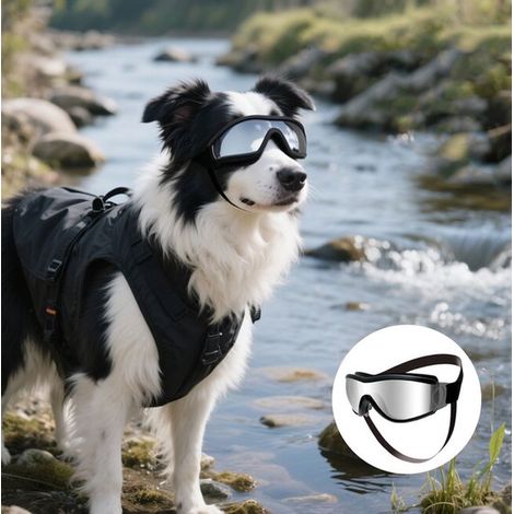 Occhiali per cani di taglia grande, occhiali da sole antivento per cani di taglia media e grande per ciclismo, guida o altre attività, neri (1/4)