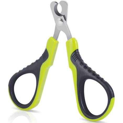 Cutting Griffes Cat Professional, Cutting Ongle for Chiot Lapin Birds and Small Animals, Scissors to Ongles Courbe in stainless steel, Mowers to Griffes Portable, Accessory Cat Lapin- (1/5)