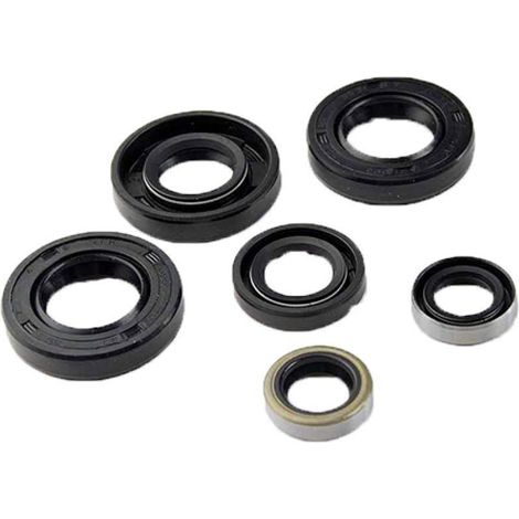 Dichtung spi Motor teknix für Motorrad derbi 50 Motor euro2 1996