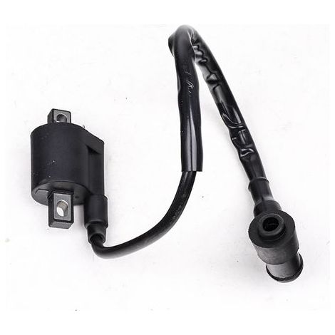 Lot de 2 bobines d'allumage compatibles avec VTT, motos tout-terrain, scooters, karts et cyclomoteurs 150-250cc, allumage fiable pour moteur 4 temps, pièce de rechange durable. (1/5)