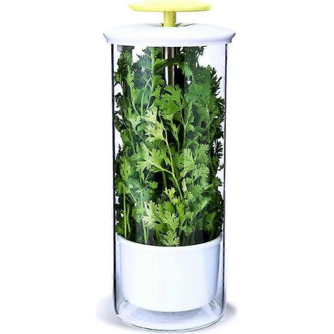 Conservateur et boîte de conservation pour herbes aromatiques, récipient en verre pour coriandre et menthe, pour une conservation de 2 à 3 semaines (1/5)