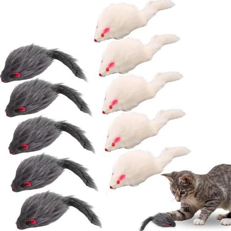 Lot de 10 jouets pour chats en forme de souris, peluche douce, longueur 17 cm, jouets pour chatons et chats, blanc et gris (1/5)