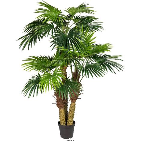 Palmier Chamaerops artificiel H 185 cm 3 troncs 26 feuilles en pot