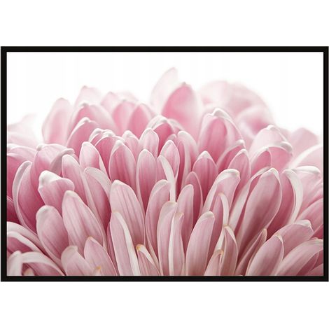 CORNICE PER POSTER 53x73 cm Fiore P1682 (1/3)
