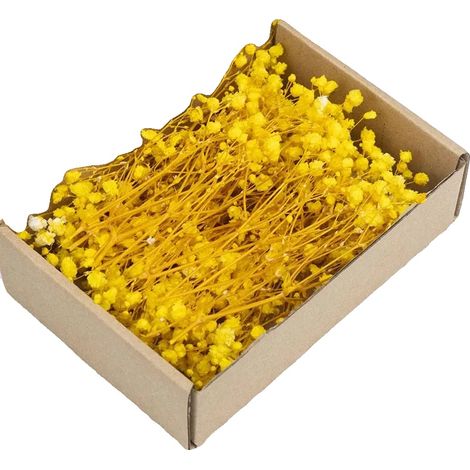 Gypsophila Trockenblumen, Lebendige Farben, Vielseitige Blumenarrangements, Gelb (1/2)