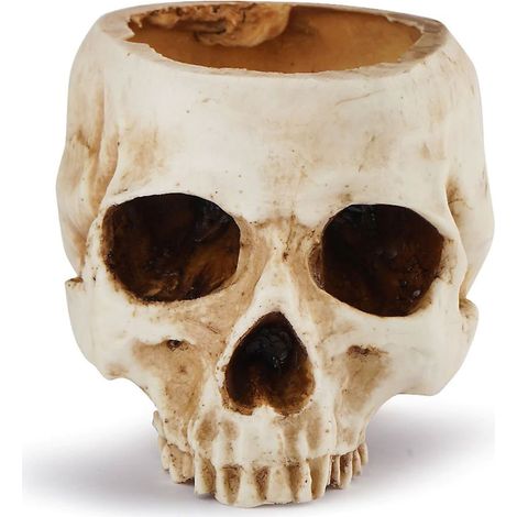 Pot de fleurs en résine en forme de crâne, sculpté en forme de squelette, idéal pour les plantes succulentes et les cactus. Ce pot (1/5)