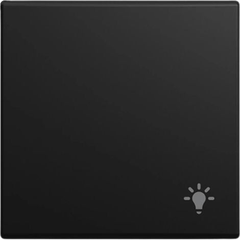 Interrupteur busch-jager 2520 li-915 symbole lumière 1 pièce