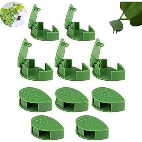 Confezione da 10 clip rampicanti per piante, supporti per pothos, ganci autoadesivi, decorativi per piante da giardino. (1/5)