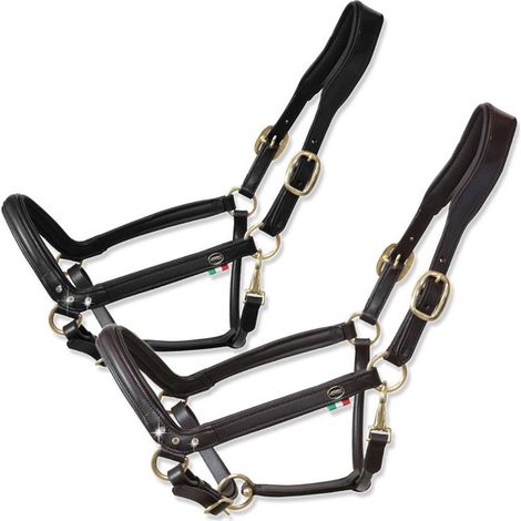 Pour en savoir plus :, Noir: Costume d'équitation en cuir lisse avec rembourrage et trois réglages