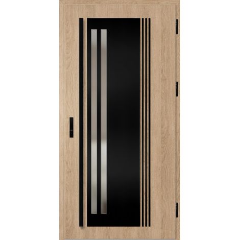 Porte d'entrée en acier avec cadre en aluminium LINDEN 5 90200 -100200 cm - Poussant: Droit - Dimensions: 90 cm (1/5)