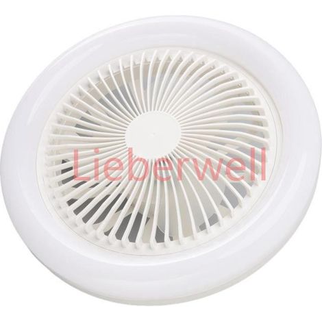 GOTOTOP Lumière de ventilateur de plafond Lampe de ventilateur de plafond 36W 9,8 pouces Petite lampe de ventilateur LED (1/4)