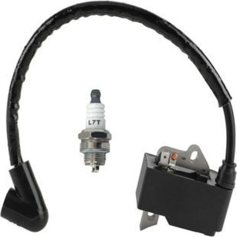 Bobine d'allumage haute tension compatible avec 125C, 125E, 125R, 125L, 125RJ, 128C, 128L, 128R (1/5)
