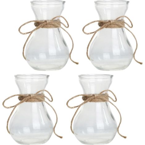 vases en verre pour plantes hydroponiques Vases transparents