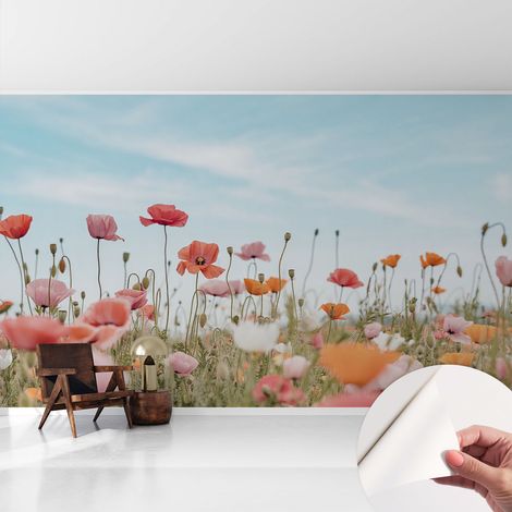Carta da parati autoadesiva - fotomurale - decorazione parete - stile elegante - decorazione casa - Fiori di papavero 416x254 cm (1/5)