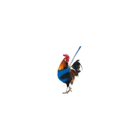 GAUN Arnés para Gallinas
