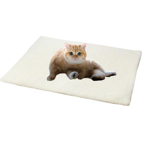 Tapis chauffant antidérapant pour animaux de compagnie, matelas doux et chauffant idéal pour chatons, chiots et chiens d'intérieur et d'extérieur en hiver froid, 60 cm x 45 cm (blanc) (1/5)