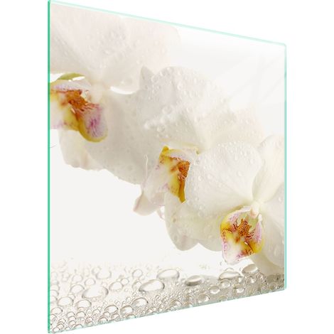 PIASTRA PROTETTIVA IN VETRO PER STUFA 50x52 ORCHIDEA (1/5)