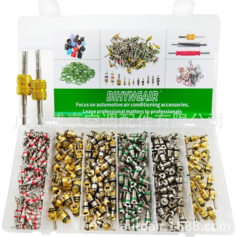Kit d'assemblage de noyau de valve de climatisation automobile 134a, accessoires, compatible Buick, Fukang et Citroën, respectueux de l'environnement R12 (1/3)