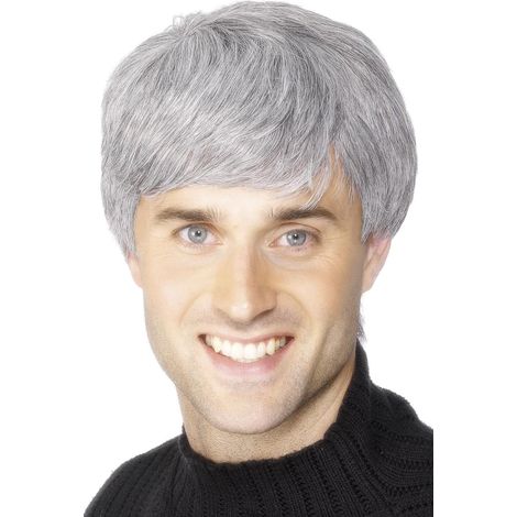 Corporate Wig - Grey - 42209
